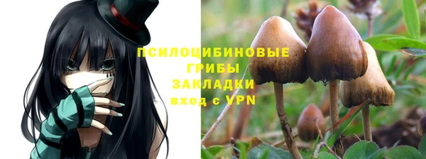 дживик Балахна