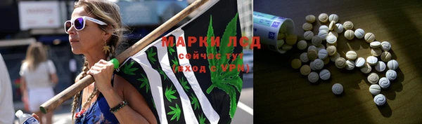 PSILOCYBIN Балабаново