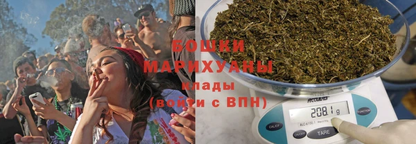 PSILOCYBIN Балабаново