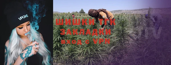 дживик Балахна